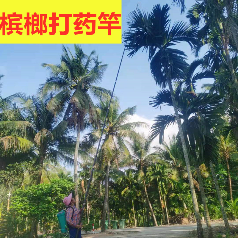槟榔打药杆碳纤维自由定位伸缩杆