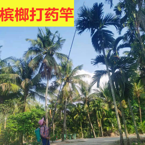 槟榔打药杆碳纤维自由定位伸缩杆