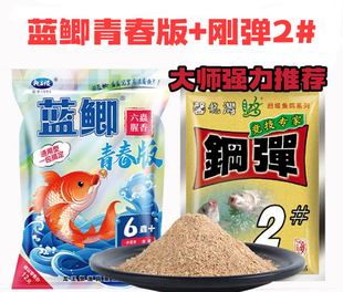 化氏钢弹2 六蟲腥香秋冬高蛋白野钓鲫鱼鲤鱼饵料 号饵料蓝鲫青春版