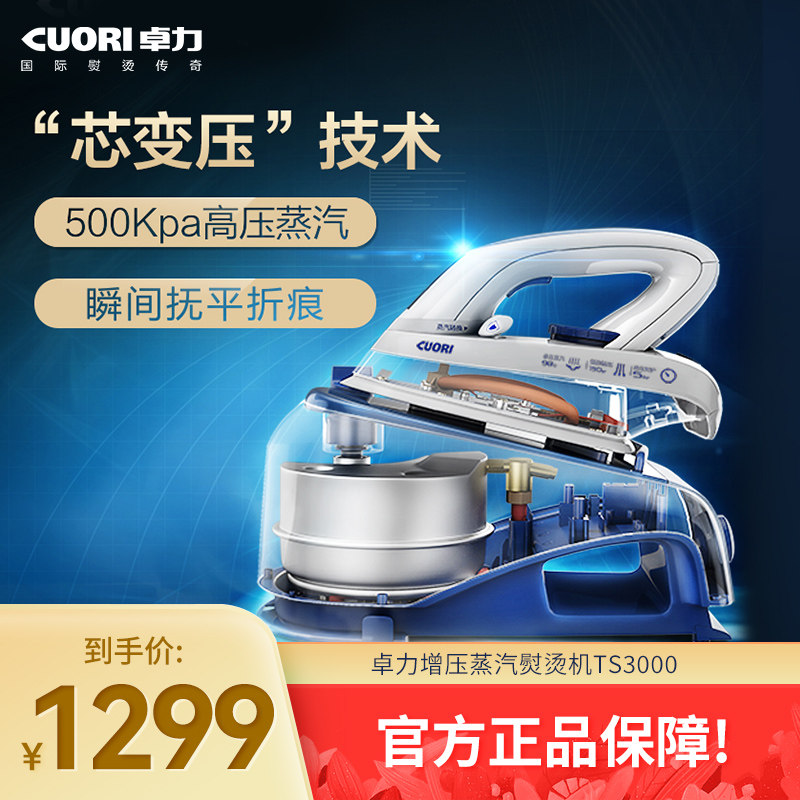 卓力电熨斗家用蒸汽手持小型挂烫机平挂商用烫衣增压熨烫机TS3000