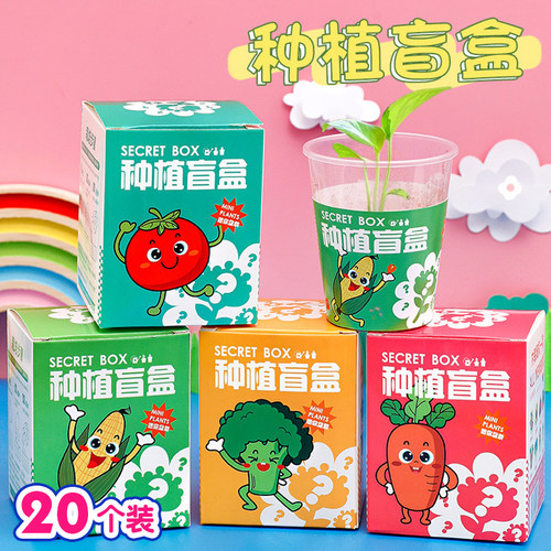 可爱创意桌面盆栽儿童分享小礼品