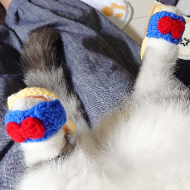 搞怪猪猪小拖鞋宠物猫毛线鞋子搞笑咪凉鞋洞KDN鞋洞拍照道具