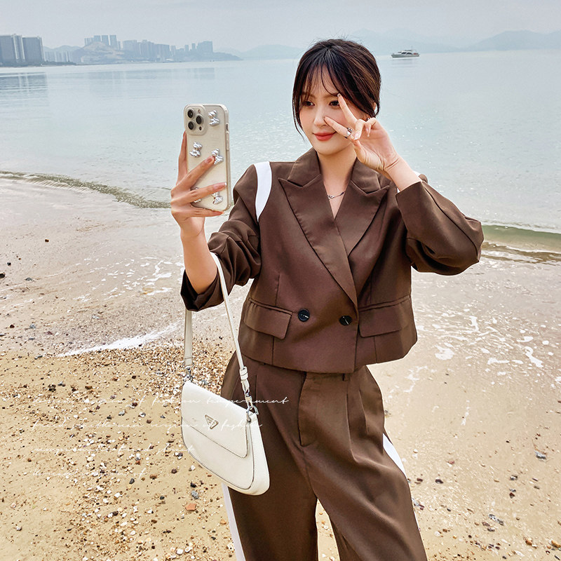 高级感小西装套装女春秋2025年新款韩版洋气时尚西服阔腿裤两件套,女装套装/套裙,浙宝199