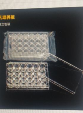 NEST 761001 6 12 24 48 96 384孔细胞培养板703001 712001