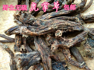 贵州中草药材草玉梅500g 山货虎掌草见风青狗脚迹八瓣花干货包邮