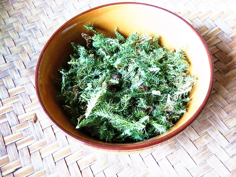 山货伸筋草中药材贵州草药舒筋草