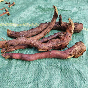 贵州野生刺梨根中药材500克 泡酒中药材刺梨根根炖猪肚刺梨根泡水