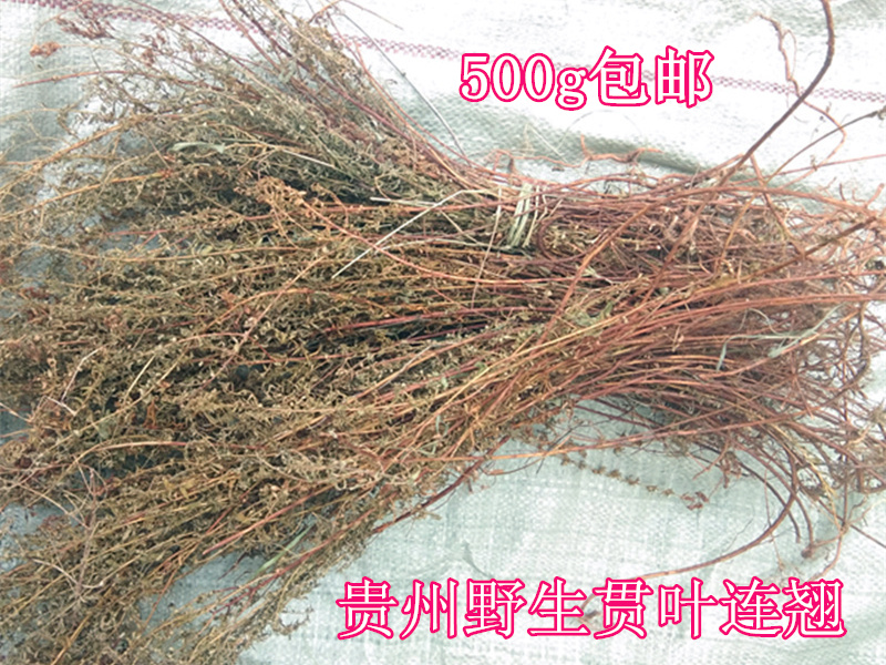 贵州特产山货贯叶连翘500g包邮 全草小过路黄贯叶金丝桃圣约翰草