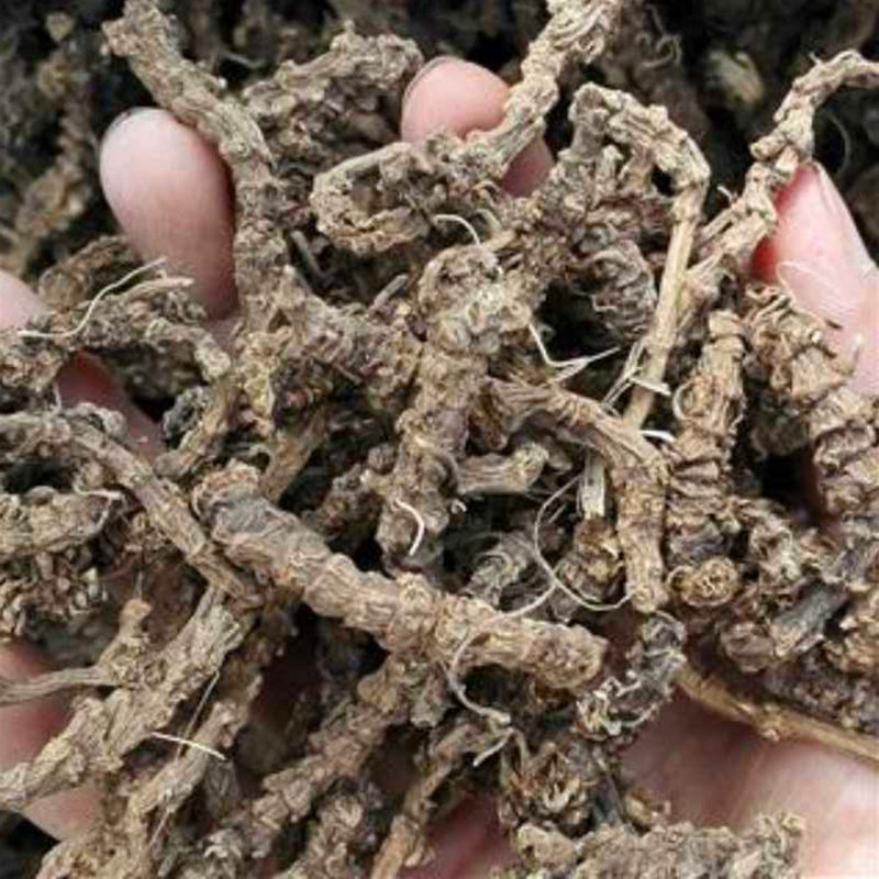 地产蜘蛛香中药材干货 贵州马蹄香中草药山货养心莲猫儿屎老虎七