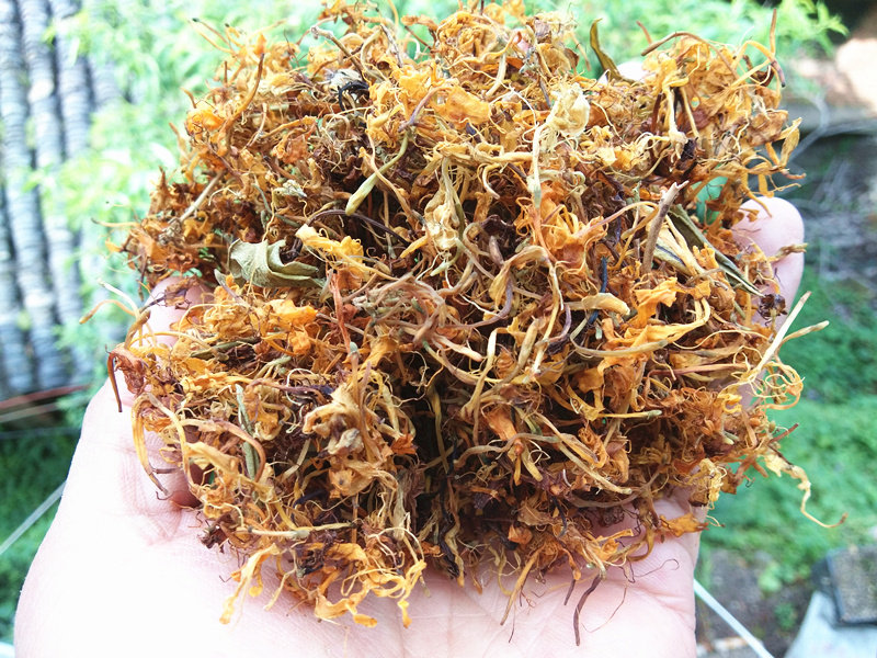 贵州地产金银花中草药 山货金银花干花山银花食药两用农家土特产