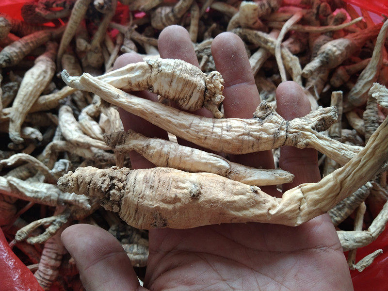 贵州食用南沙参干货 中药材泡参野山参土人参农家鸡腿儿散装500克