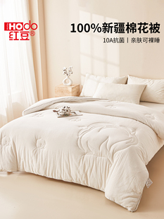 红豆棉花被子被芯2025新款四季通用春秋被家用宿舍单人棉被空调被