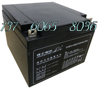 蓄电池 LEOCH理士蓄电池DJW12-24S 12V24AH用电梯 船舶 医疗 EPS