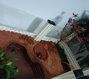 黄缘龟专用泥土垫材 安缘乌龟蝎子红泥土红沙土无菌冬眠土爬宠垫