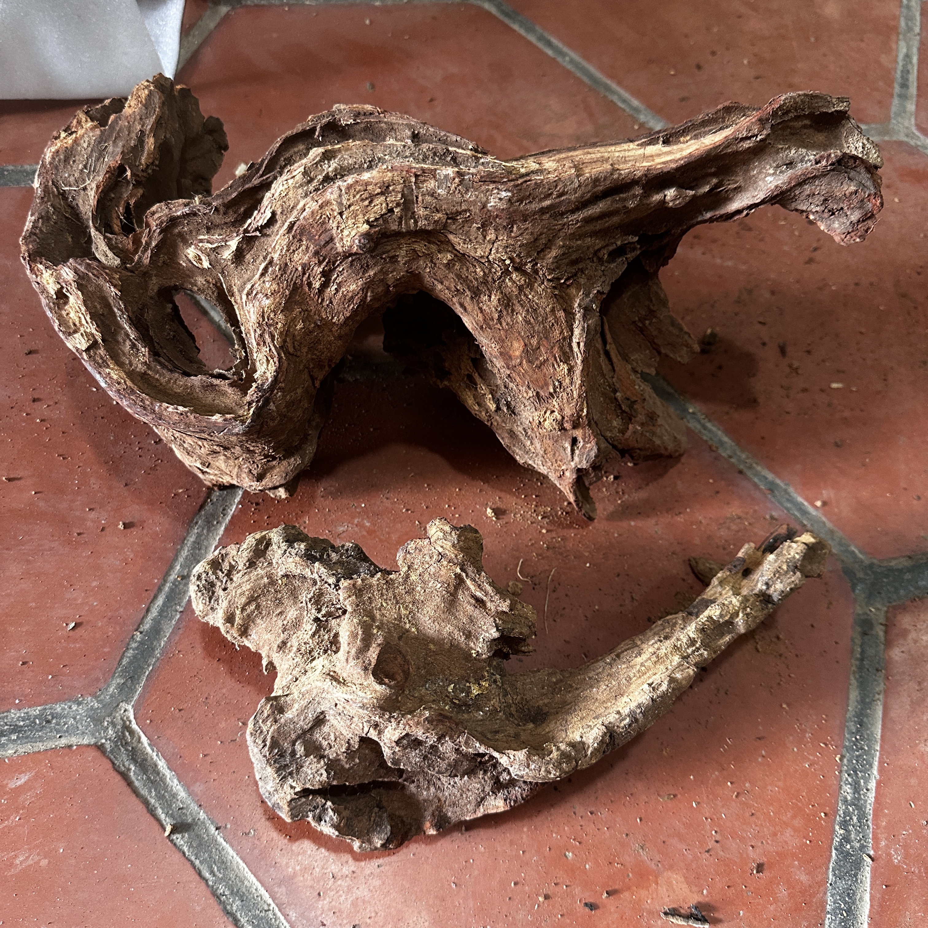 6号海南黄花梨老料树根料随型雕刻料,红木边角料一物一拍实物图