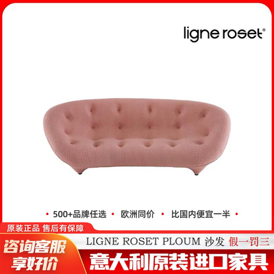 意大利进口家具沙发LigneRoset