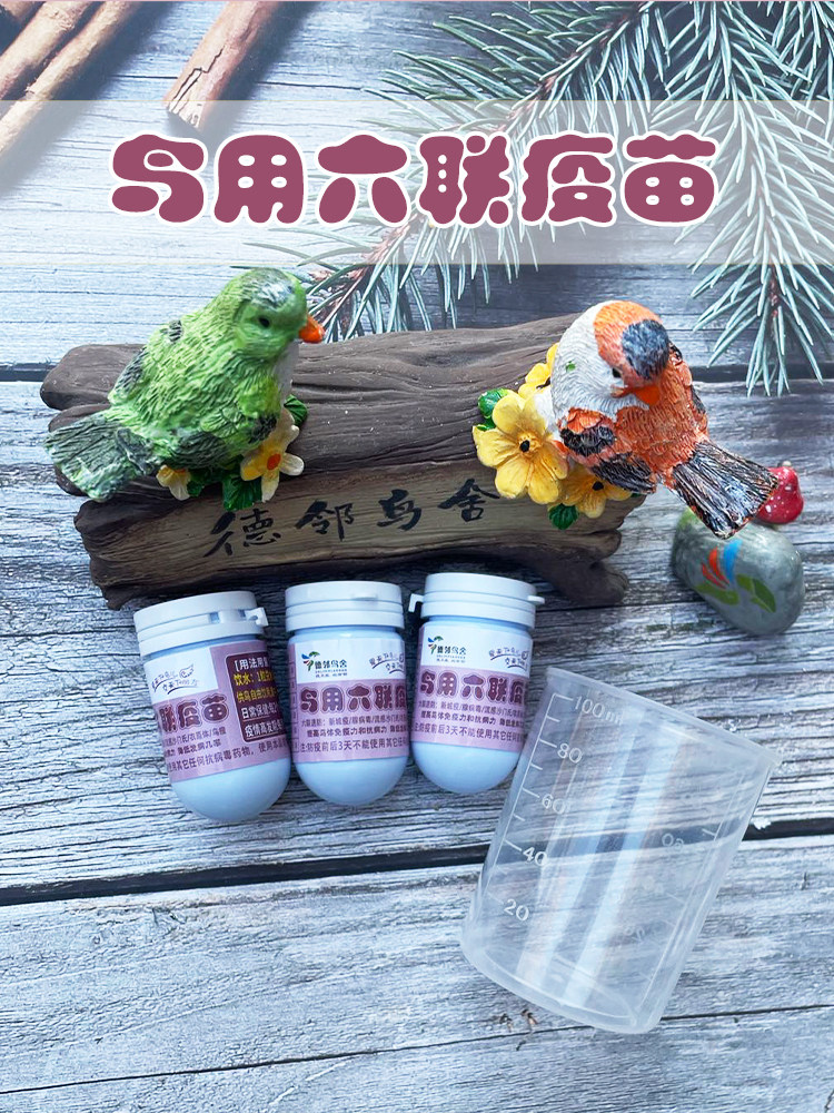 德邻鹦鹉鸟用口服疫苗预防单眼伤风新城疫腺病毒沙门氏鸽痘衣原体