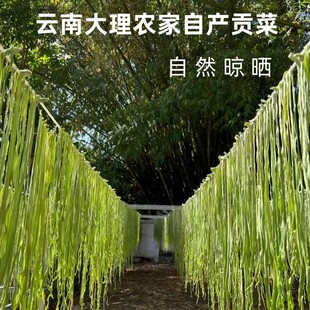 25年新货云南大理漾濞农户自产农户自然晾晒原味干新贡菜