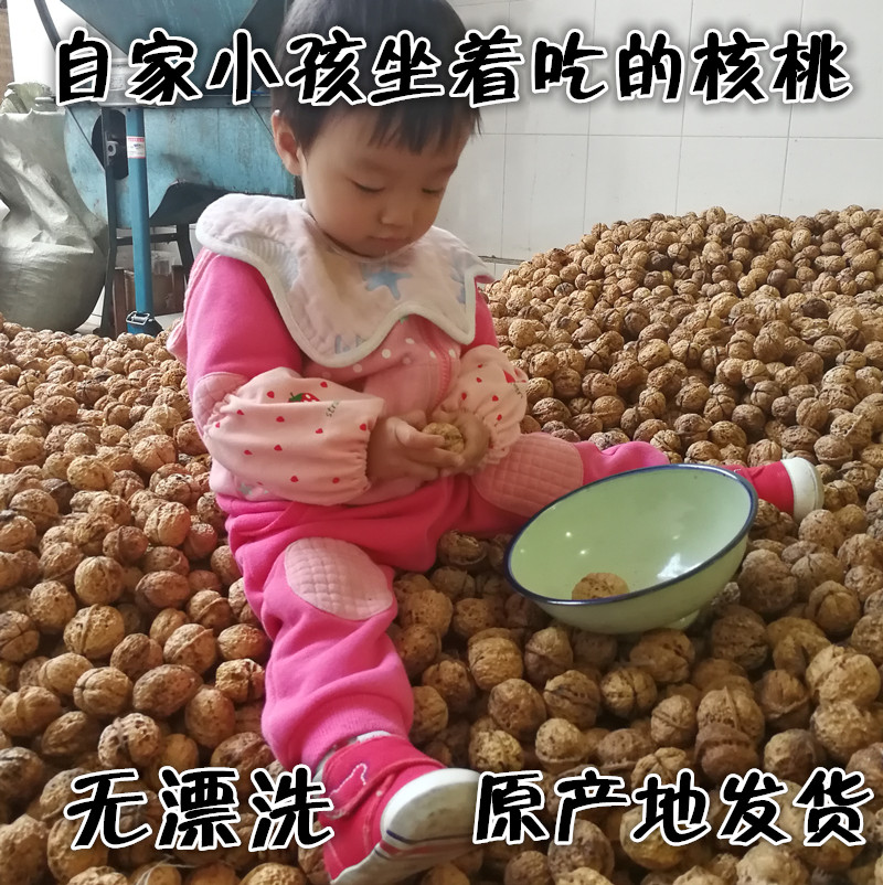 26年新货云南核桃原味无添加纸皮图片