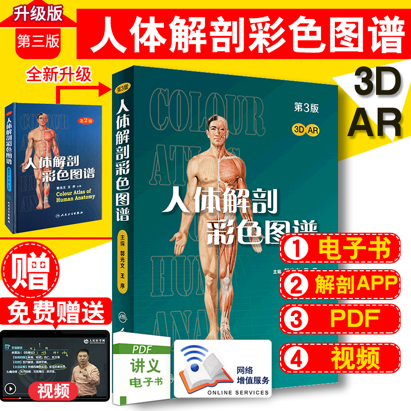 人体解剖彩色图谱第三版人卫版彩色学第3版教材书局部系统解刨学奈特书籍2020全身正常医学实用动态局解全彩绘图郭光文最新版彩图