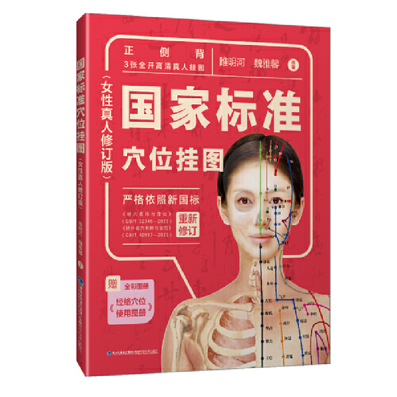 asy 国家标准穴位挂图（女性真人修订版） 睢明河、魏雅馨 9787533568337 福建科技出版社