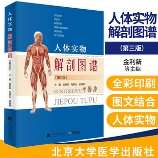 全彩人体解剖彩色图谱 系统解剖学 人体医学实用局部运动系统学实物标本全彩人体解剖彩色图谱奈特解刨 第三3版 人体实物解剖图谱