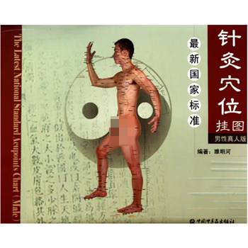 ZJ包邮正版 针灸穴位挂图-男性真人版 睢明河 书店书籍图书 医学 中医 针灸