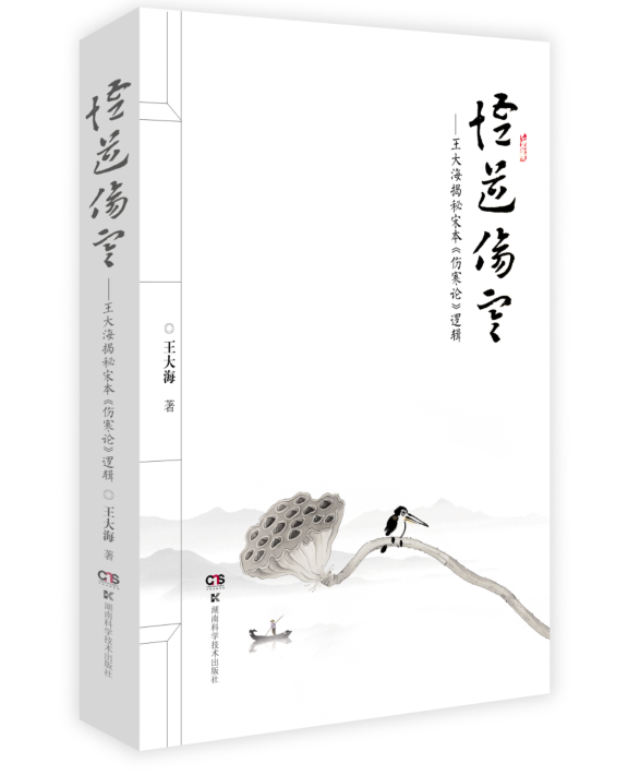 悟道伤寒大海揭秘宋本伤寒论逻辑大海著太阳病提纲证阴阳易差后劳复病阳明病证治湖南科学技术出版社 9787571009427