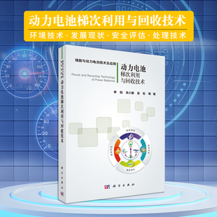 动力电池梯次利用与回收技术 储能与动力电池技术及应用李丽等主编电子电工专业科技工业技术环境科学环境科学基础理论科学出版社