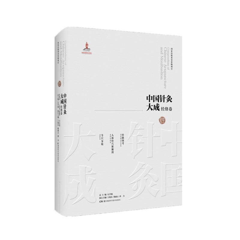 asy 中国针灸大成·经络卷(经脉图考人体经穴脏腑图节穴身镜) 石学敏、王旭东 9787571019334 湖南科技