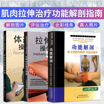 拉伸治疗操作指南+体态评估操作指南+功能解剖-肌与骨骼的解剖.功能及触诊 三本套装 天津科技翻译出版公司 医学理疗运动拉伸治疗