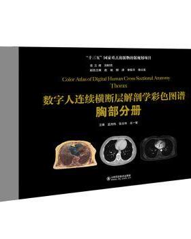 asy 数字人连续横断层解剖学彩色图谱:胸部分册:Thorax 刘树伟总主编 9787572306761 山东科学技术出版社