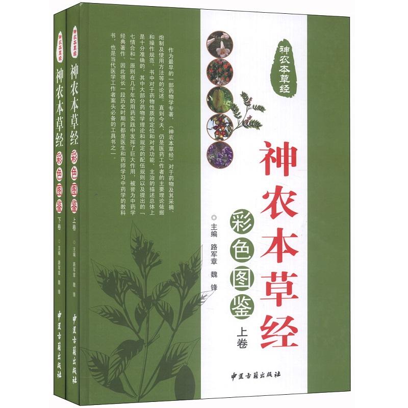 神农本草经彩色图鉴 路军章等 中医古籍出版社 合欢 天麻 龙眼 滑石 禹余粮 猪苓 茯苓 柏实 天门冬 麦门冬 白术 干地黄 菖蒲 远志