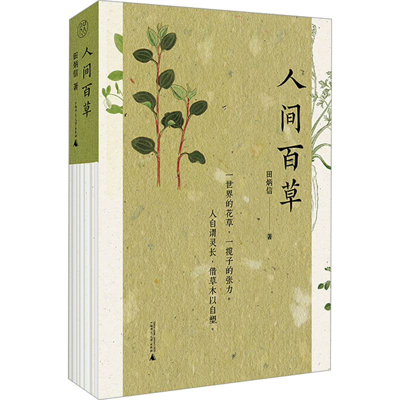 asy 人间百草 田炳信 著 9787559874115 广西师范大学出版社
