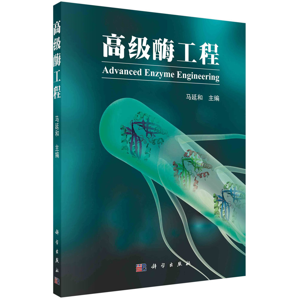 高级酶工程/马延和