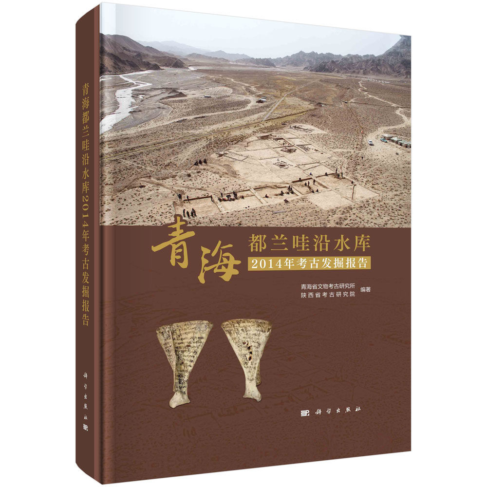 青海都兰哇沿水库2014年考古发掘报告/青海省文物考古研究所 陕西省考古研究院