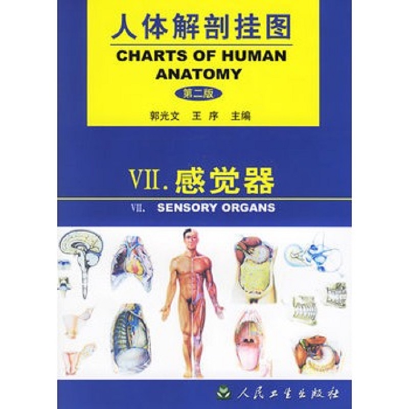 人体解剖挂图感觉器许多高等及中等医院校和各种医卫生学习班的教学中被广泛采用郭光文序主编 9787117038089人民卫生出版社