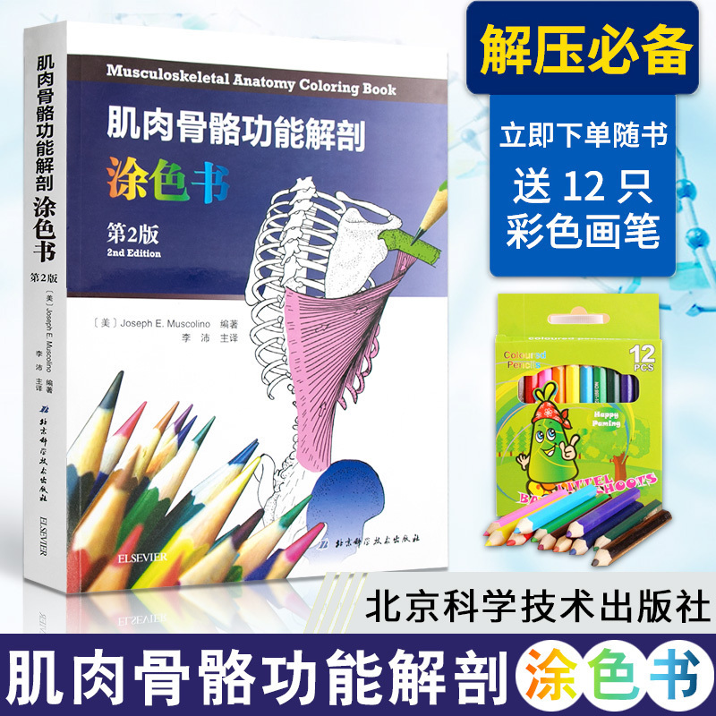 肌肉骨骼功能解剖涂色书 第2版 医学参考书籍 医学图谱 约瑟夫穆斯科利诺医生著 李沛译 北京科学技术出版社 9787530490198