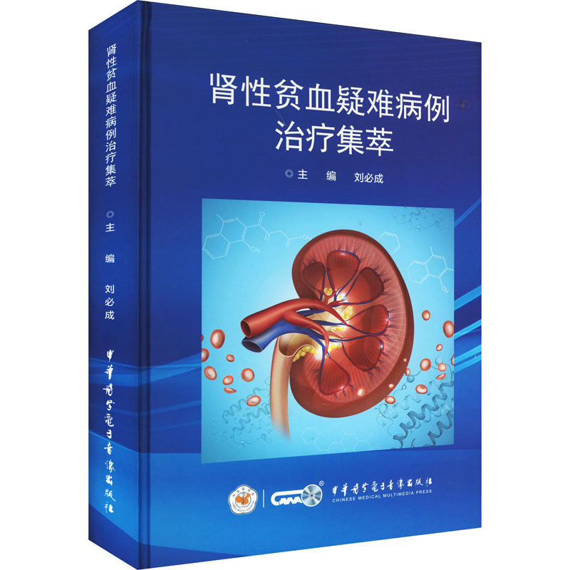 asy 肾性贫血疑难病例治疗集萃 刘必成 9787830053765 中华医学电子音像出版社