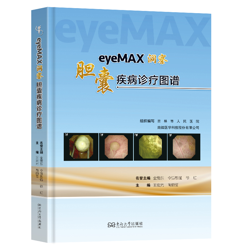 asy eyeMAX洞察 主编王宏光, 陶丽莹 9787576619577 东南大学出版社