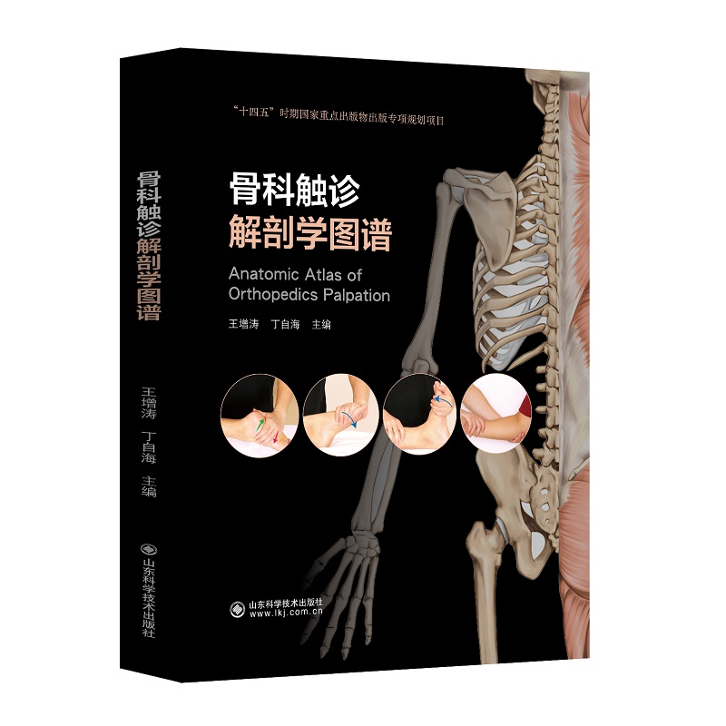 骨科触诊解剖学图谱 丁自海等主编 十四五时期 重点出版物出版专项规划项目