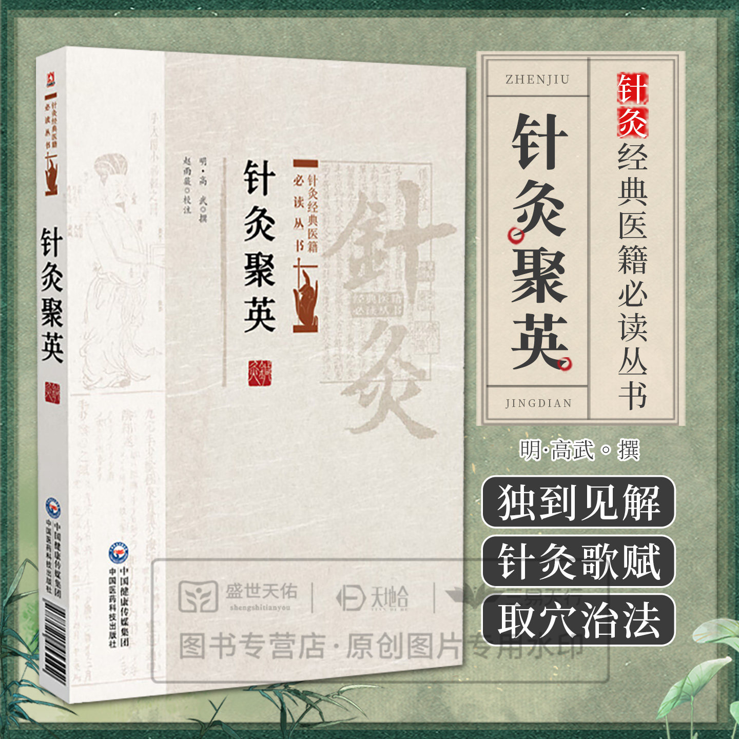 针灸聚英针灸经典医籍必读丛书 针经指南灵枢经针灸聚英针灸大成针灸逢源神应经扁鹊神应针灸玉龙经难经太乙神针针灸甲乙经子午流