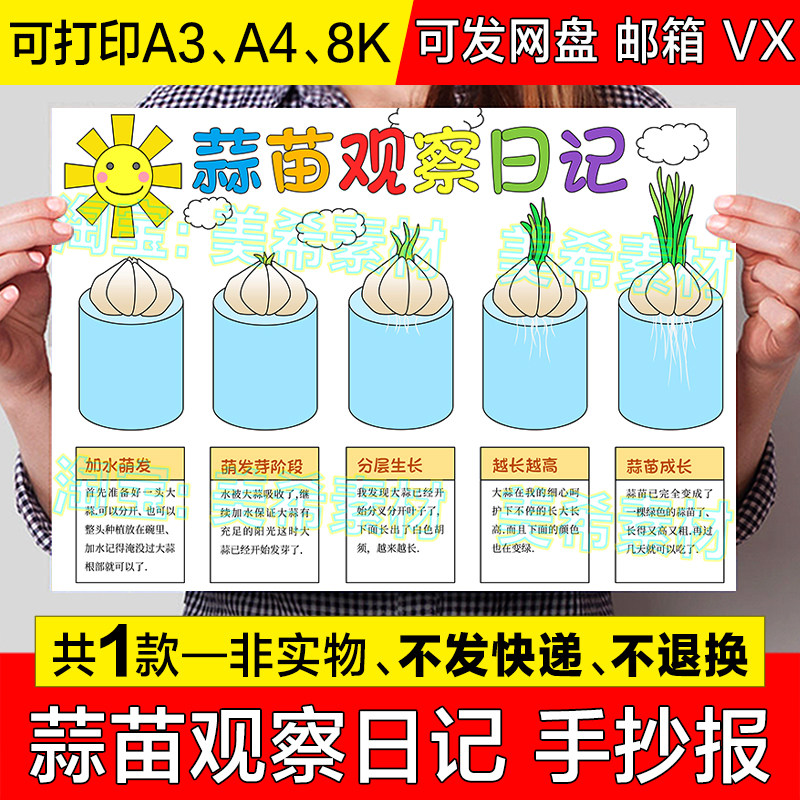 蒜苗观察日记手抄报模板小学生植物蔬菜大蒜生长成长记录日记小报