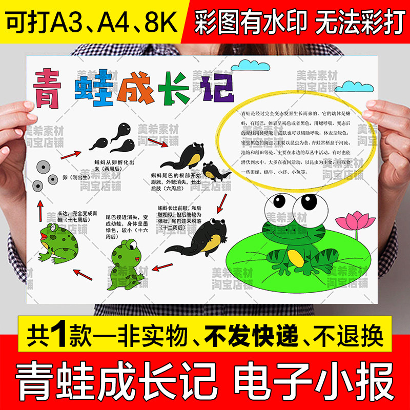 青蛙成长记手抄报模板小学生观察动物小蝌蚪成长记录日记小报线稿