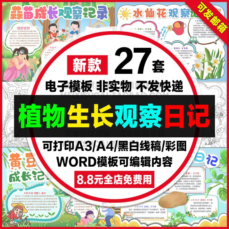 植物生长观察日记手抄报水仙花土豆黄豆芽蒜苗成长记电子小报模板