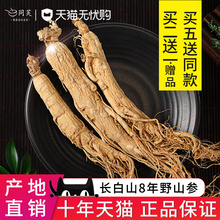 同芙长白山人参礼盒东北特产干货野山参新鲜生晒小人参林下参野生