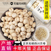 买1送1四川川贝母100g官方旗舰店正品 川贝母粉粒非中药材野生特级