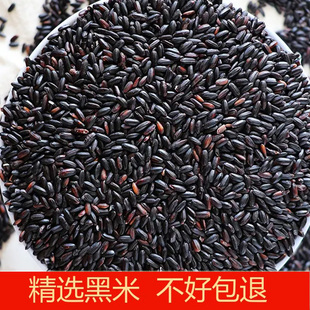 黑大米新米 黑糙米黑香米 农家自产 黑米杂粮 黑米粥原料包邮5斤