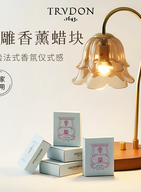 Trudon法国楚敦蜡块融礼盒高级氛围感浴缸卧室中秋教师节礼物