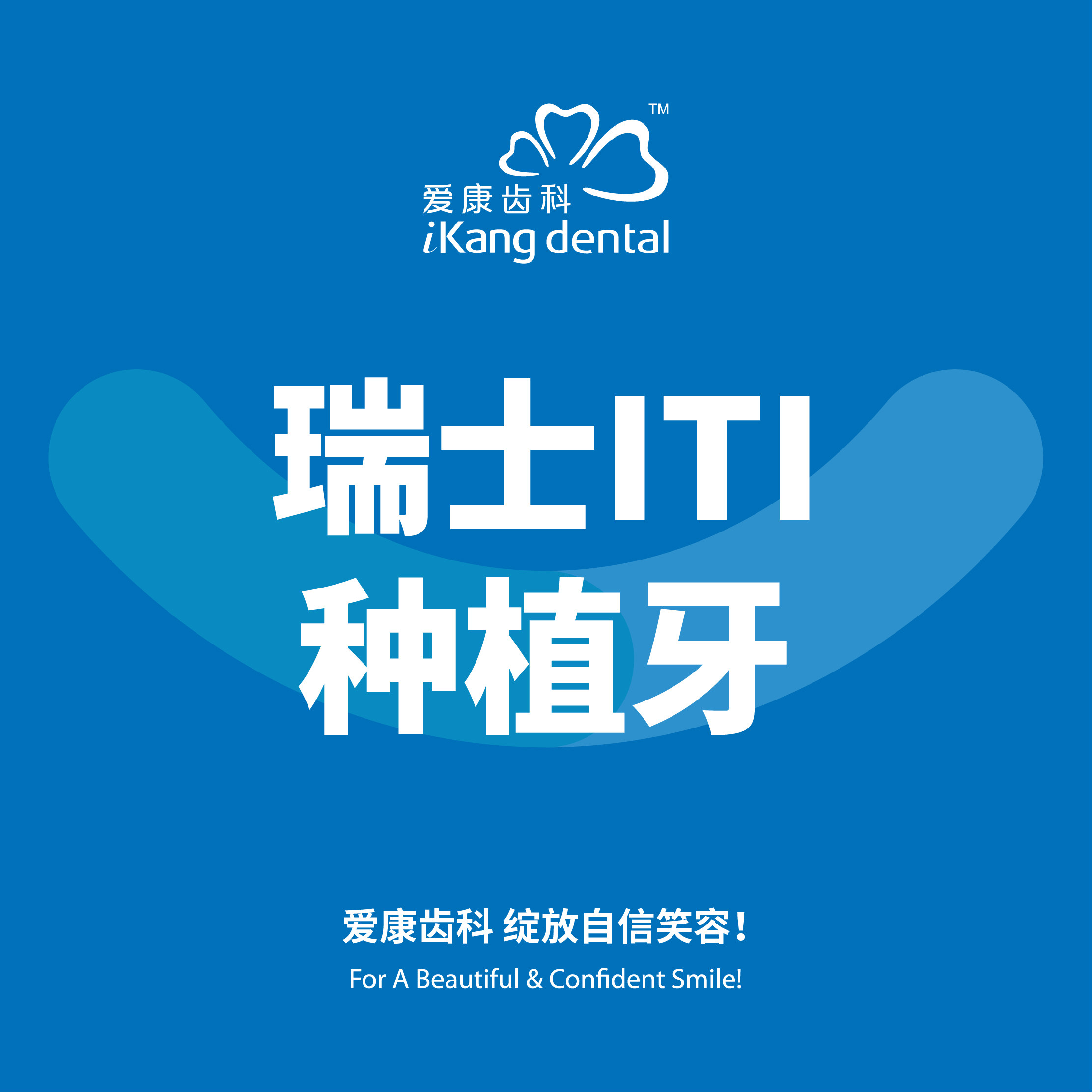 爱康齿科瑞士iti标准种植体 标准基台/1颗